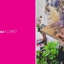 Whizz Bang: Expressions Florist