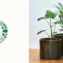 New Pots In-store Now: Tim’s Garden