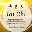 Monthly Tai Chi & Qi Gong Open Practice: Te Whare Ora-The Healing Hut