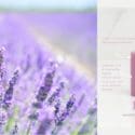 Calming Lavender: Global Soap