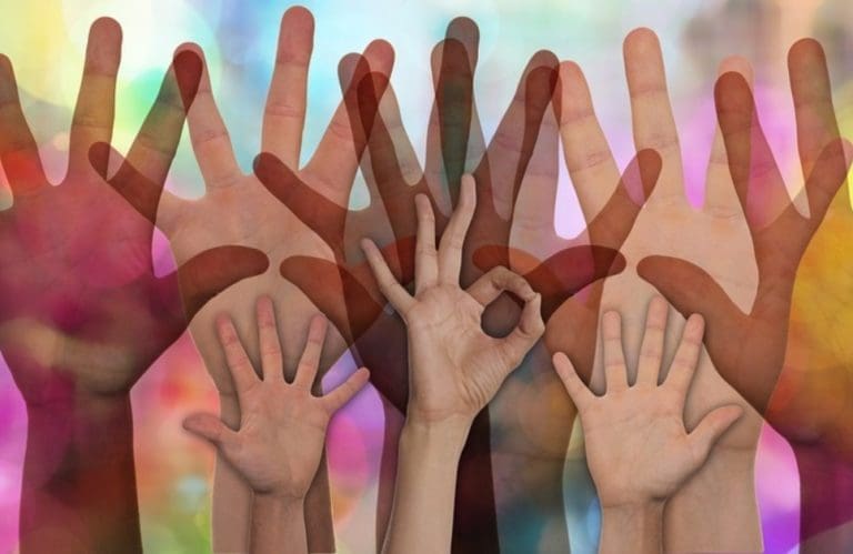 11 April Volunteer Nelson 768x499