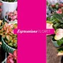 Lots Of Different Shades Of Anthirium!: Expressions Florist
