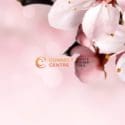 Nutrition & Movement For Peri-Menopause & Menopause