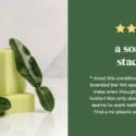 Shop Bergamot And Our Other Conditioner Bars: Global Soap