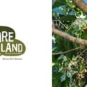 A Huge Thank You To The Brook Waimārama Sanctuary