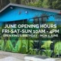 Celebrate By Shining Some Light On Some Of The Amazing And Dedicated Volunteer Teams: The Brook Waimārama Sanctuary