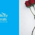 Flower Of The Month – The Rose And The Honeysuckle: Simplicity Funerals