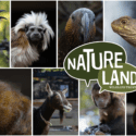 Natureland Wildlife Trust
