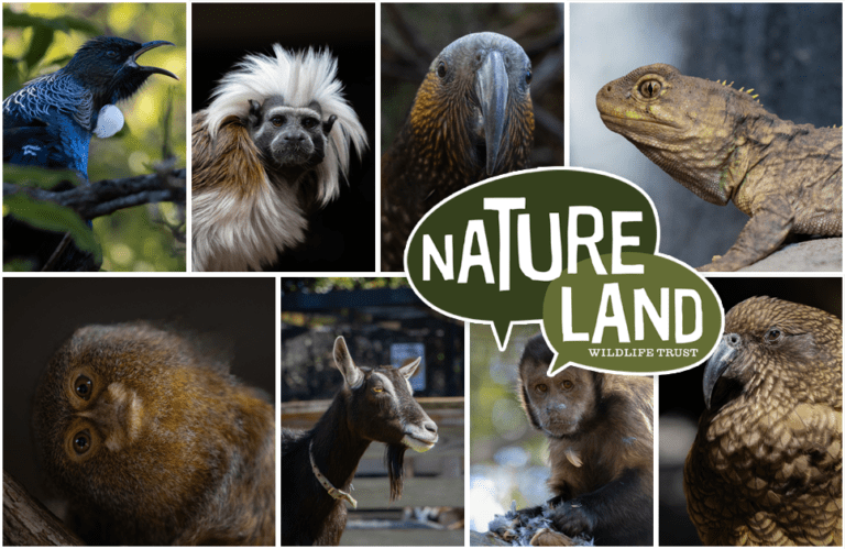 uniquely natureland 768x499