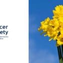 Daffodil Day Friday 25th August – We Need Your Support