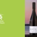 Need We Say More?: Wine Nelson