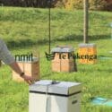 New Programme For Primary Industry Skills Offers Focus On Beekeeping.