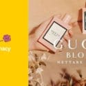 We Are Now Stocking Gucci Fragrance: Life Pharmacy Prices