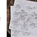 Te Wiki Tiaki Ao Tūroa/ Conservation Week Is “Mō Te Taiao Te Take/ Take Action For Nature”: The Brook Waimārama Sanctuary