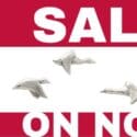 Great Reductions On Selected Items Of Jewellery!: Jewel Beetle