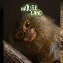 Conservation At Natureland