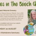 Stories In The Beech Glade At The Brook Waimārama Sanctuary