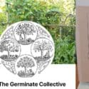 Pleased To Have The Germinate Collective Back At The Nelson Farmers Market