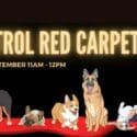 Paw Patrol Red Carpet: State Cinemas Nelson