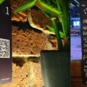 Notice Something New On Your Table?: The Vic Public House
