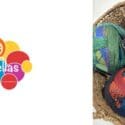 New Colours Have Arrived In Zauberball Starke 6: Cruellas Natural Fibre Boutique