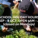 School Holiday Hours At The Brook Waimārama Sanctuary