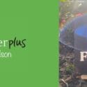 This Magical Foragers Field Guide By Liv Sisson: Paper Plus Nelson