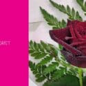 Perfection: Expressions Florist