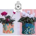 The Arrival Of These Hanging Canvas Planters: Little Beehive Co-op