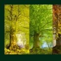 Welcome To Spring Or Is It Winter Or….?: Natureland’s New To You Store