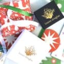 Shop Small This Season And Enjoy The Gift Of Giving!: Louise Douglas Jewellery