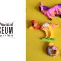 Jolie Is Back And So Is Toi Ahiahi!: Nelson Provincial Museum