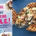 Belgium Waffles At Penguino Ice Cream Cafe