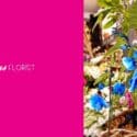 Something Blue…: Expressions Florist