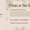 Beech Glade Sessions: The Brook Waimārama Sanctuary