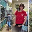 Volunteering At Natureland