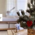 Appointments Still Available … Beat The Christmas Rush This Year: Purely Natural Skincare