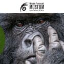 Animal Antics:  Comedy Wildlife Photography Awards: Nelson Provincial Museum