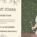 The Beech Glade Sessions Ft Jocee Tuck At The Brook Waimārama Sanctuary