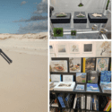 Craig Potton Gallery, Ten Years As Hardy Street’s Gem