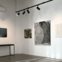 Quiet Dog Gallery