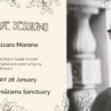 The Beech Glade Sessions Ft Alvaro Moreno At The Brook Waimārama Sanctuary