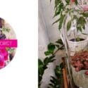 New Glass Domes In: Expressions Florist