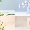 Refill My Diffusers: Living Light Candles Nelson