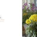 This Is Your Reminder To Reapply Your SPF: Mabin House Body & Skin Sanctuary