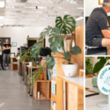 Bridge Street Collective – Coworking Studio In Central Nelson