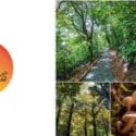 Location Of The Week – The Brook Waimarama Sanctuary: MD Outdoors