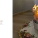 Valentines Day Is Just Around The Corner!: Mabin House Body & Skin Sanctuary