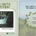 Summer Photo Competition Alert!: The Brook Waimārama Sanctuary