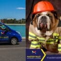 Speak To Our Competent Apparel Specialist Team: Master Valet Drycleaners And Apparelmaster